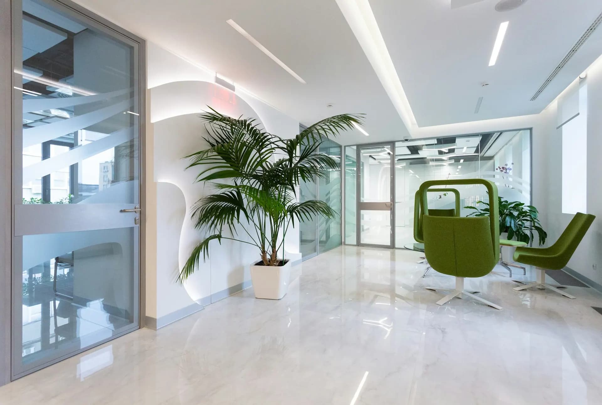Bright clinic lobby with a palm tree